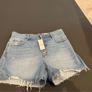 LOFT Light Blue Frayed Hem Shorts